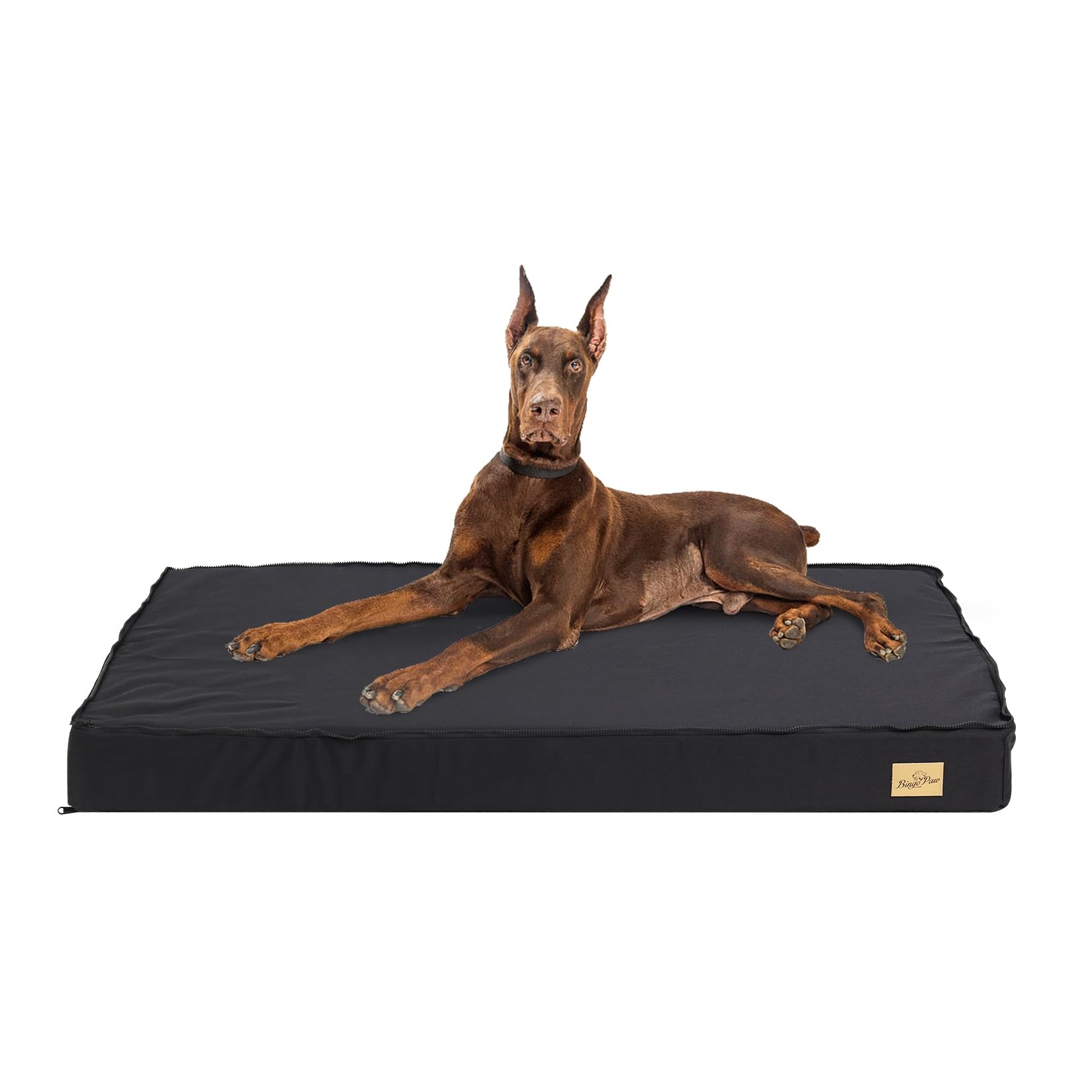 bingopaw-dog-bed-panier-chien-xxl-120x75cm-orthop-dique image 1
