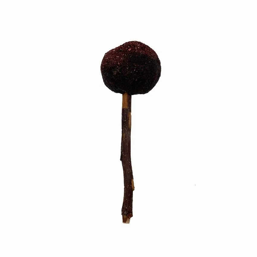 croci-woodchuck-lolly-snack-lapin-coco-30-g-naturel image 1