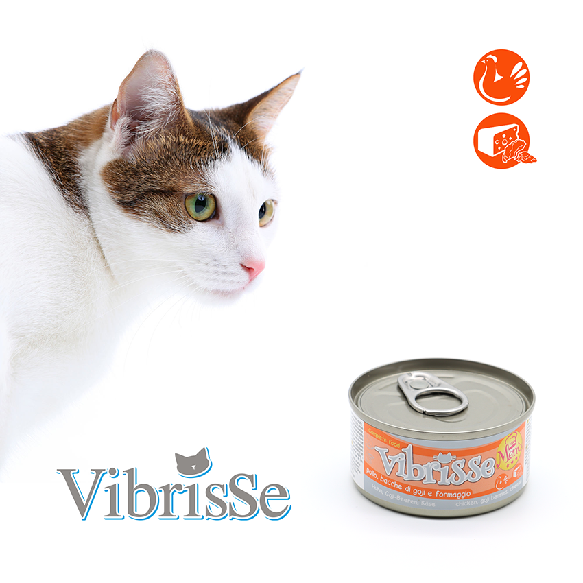 croci-vibrisse-menu-p-t-e-chat-poulet-goji-70g image 7