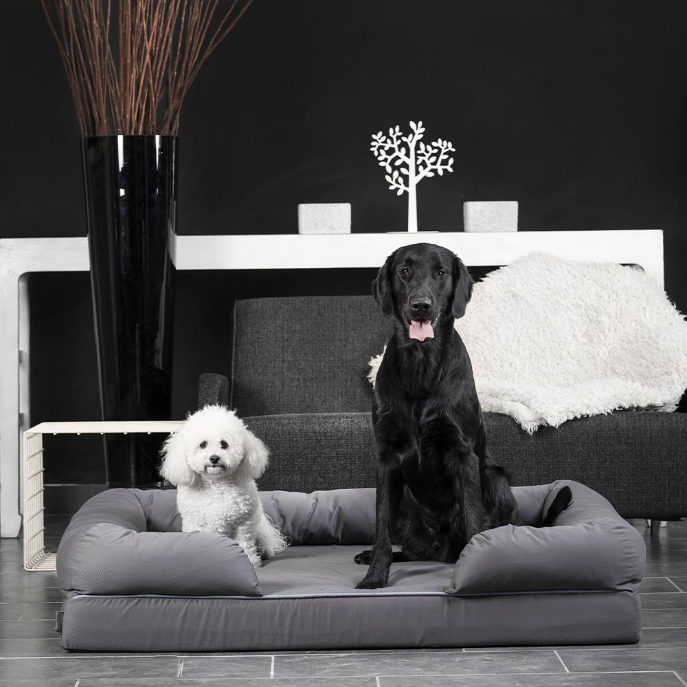 croci-revenant-limitless-panier-chien-m-moire-91x71-gris image 5