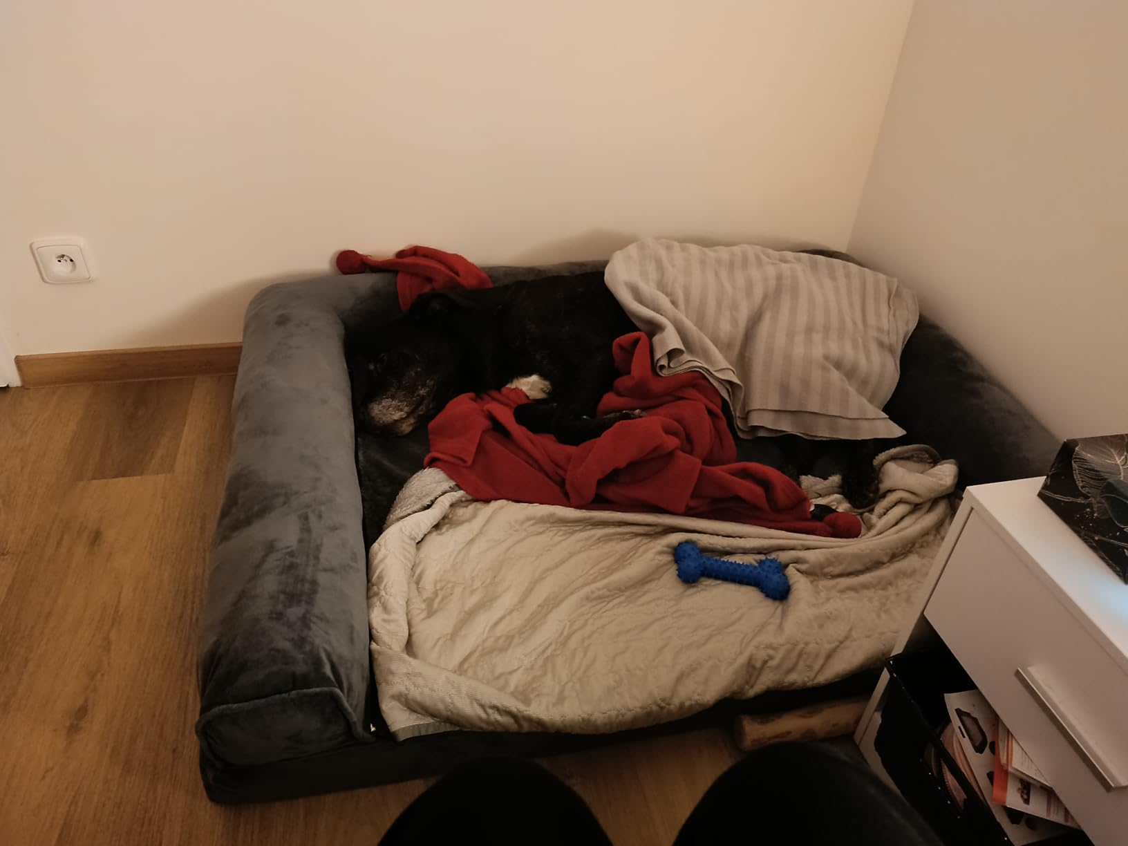 Odeur au début