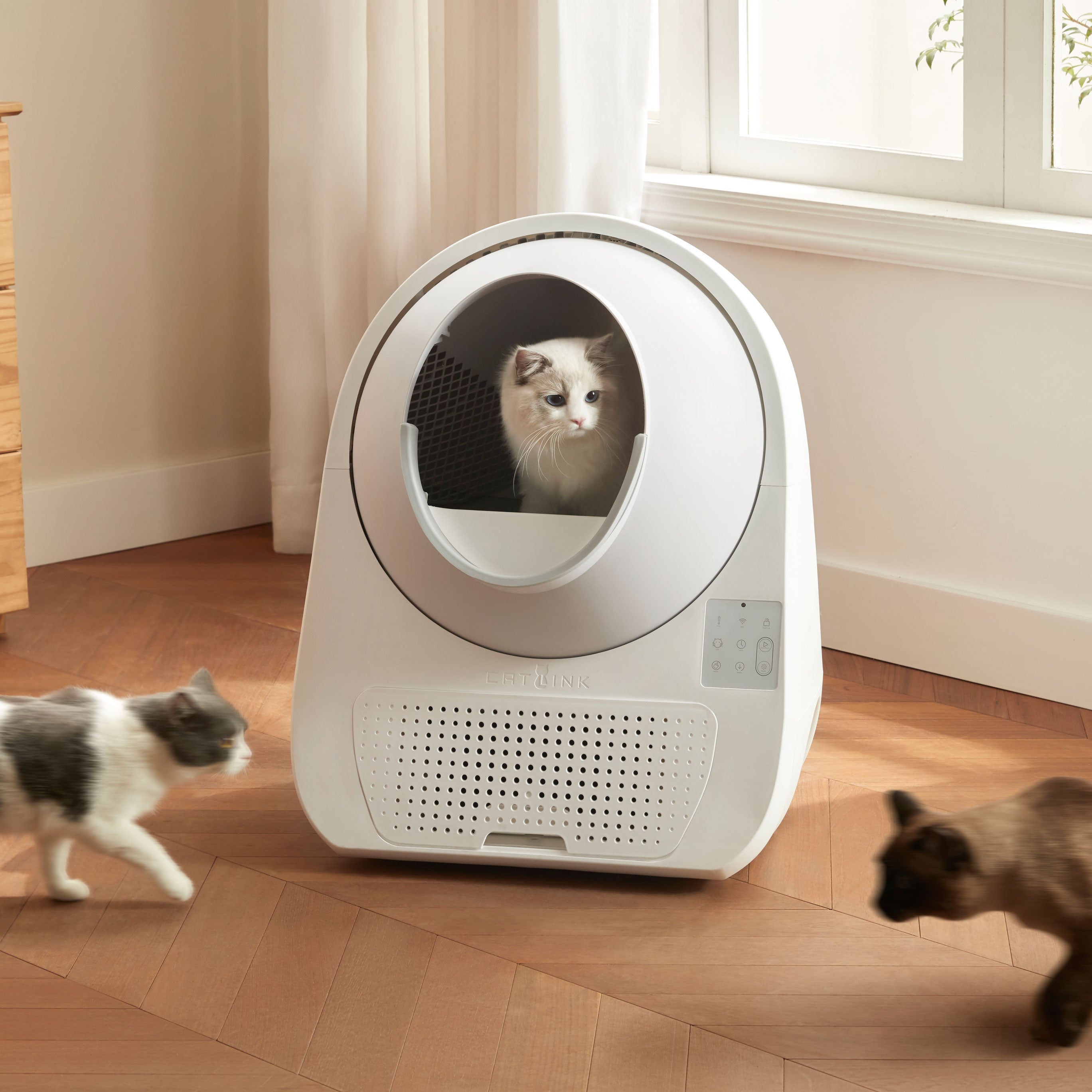 catlink-scooper-luxury-pro-x-liti-re-autonettoyante-kit-anti-odeurs image 2