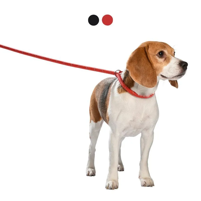 croci-bobby-walk-laisse-collier-chien-nylon-noir-192-cm image 1