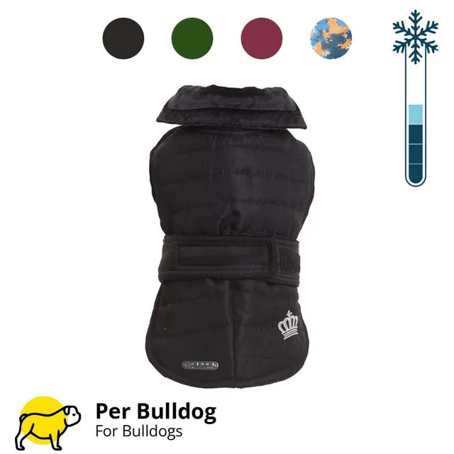 croci-manteau-chien-bouledogue-fran-ais-bordeaux-47cm image 1