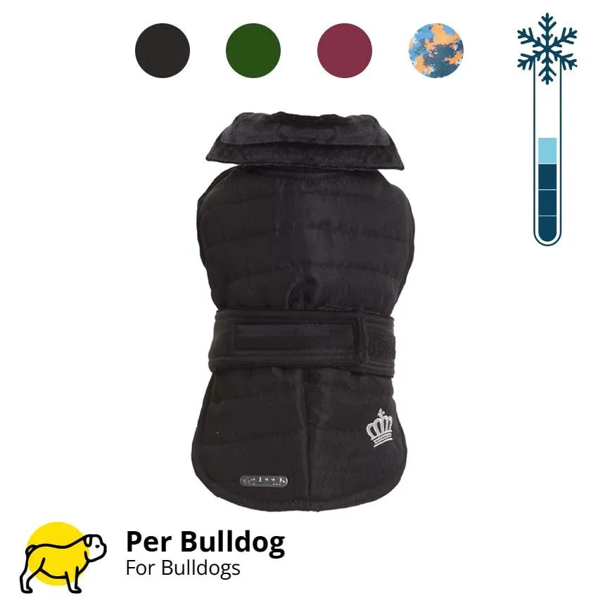 croci-manteau-chien-bouledogue-fran-ais-bordeaux-47cm image 1
