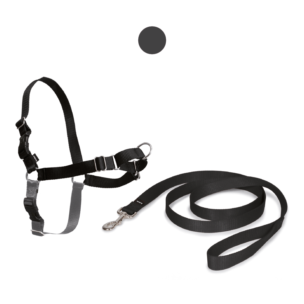 croci-easy-walk-harnais-chien-nylon-anti-traction-noir-m image 2