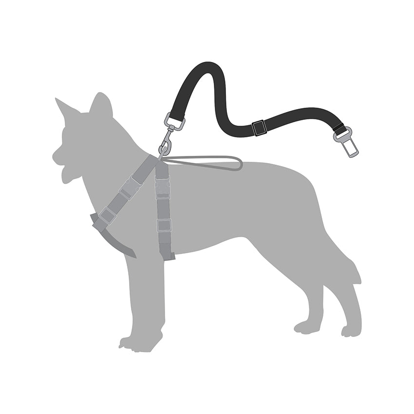 croci-ceinture-s-curit-chien-voiture-nylon-2-x-46-70-cm image 2