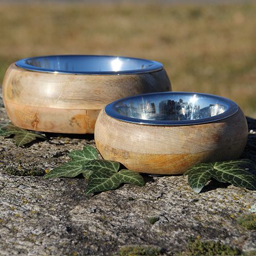 croci-gryfino-gamelle-chien-bois-inox-370-ml image 2