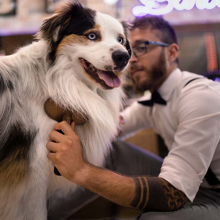 croci-barbershop-peigne-r-teau-chien-sous-poil-pais image 3
