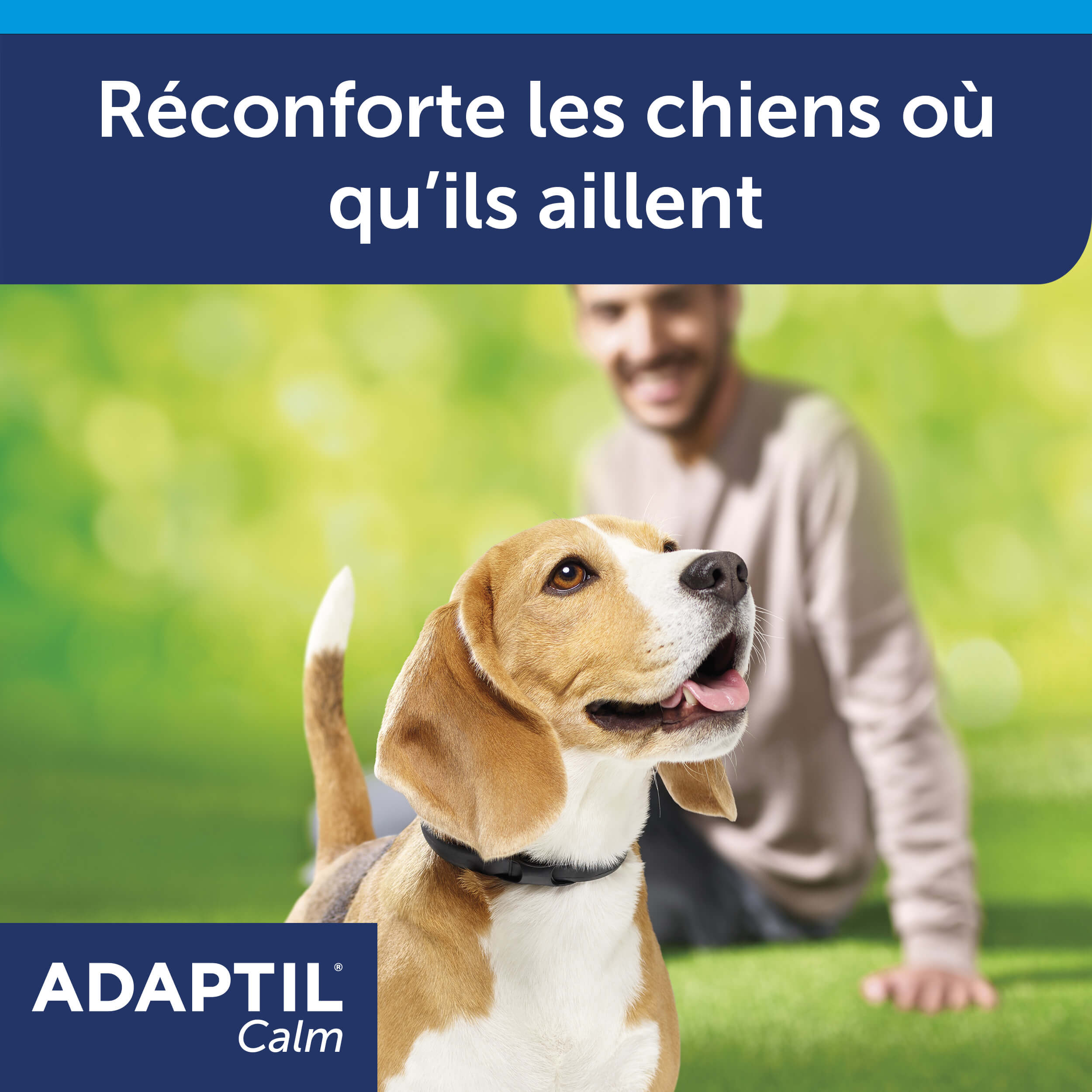 adaptil-calm-collier-apaisant-chien-taille-m-30-jours image 5