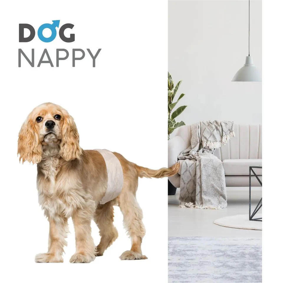 croci-dog-nappy-couche-chien-m-le-s-30-40-cm-x12 image 1