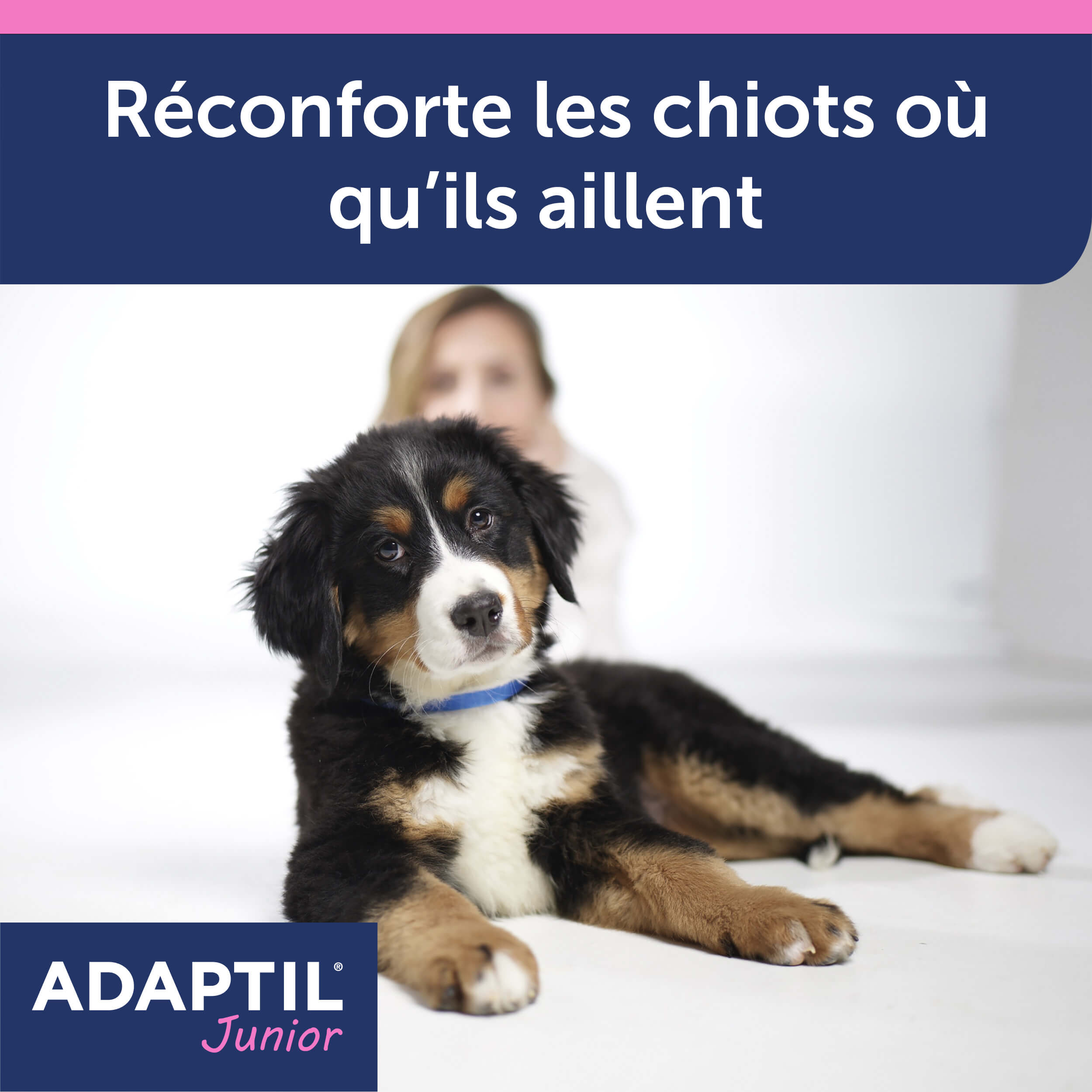 adaptil-junior-collier-apaisant-chiot-ajustable-30-jours image 2