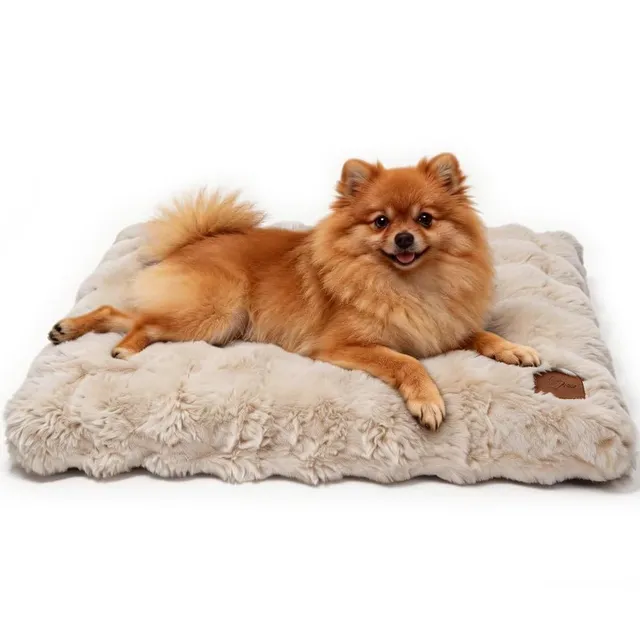 bingopaw-dog-bed-panier-chien-l-76x51x10-cm-beige-d-houssable image 1