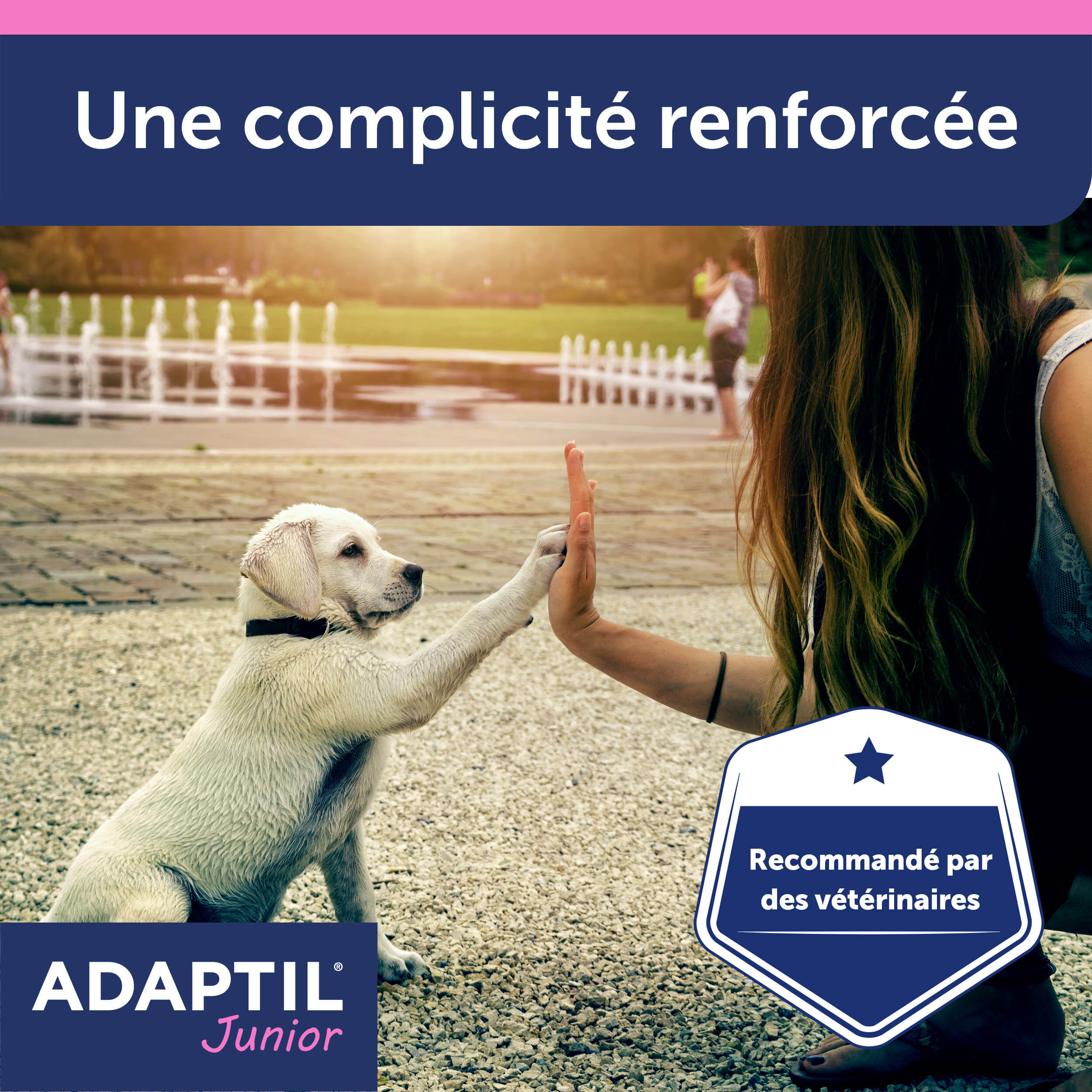adaptil-junior-collier-apaisant-chiot-ajustable-30-jours image 7