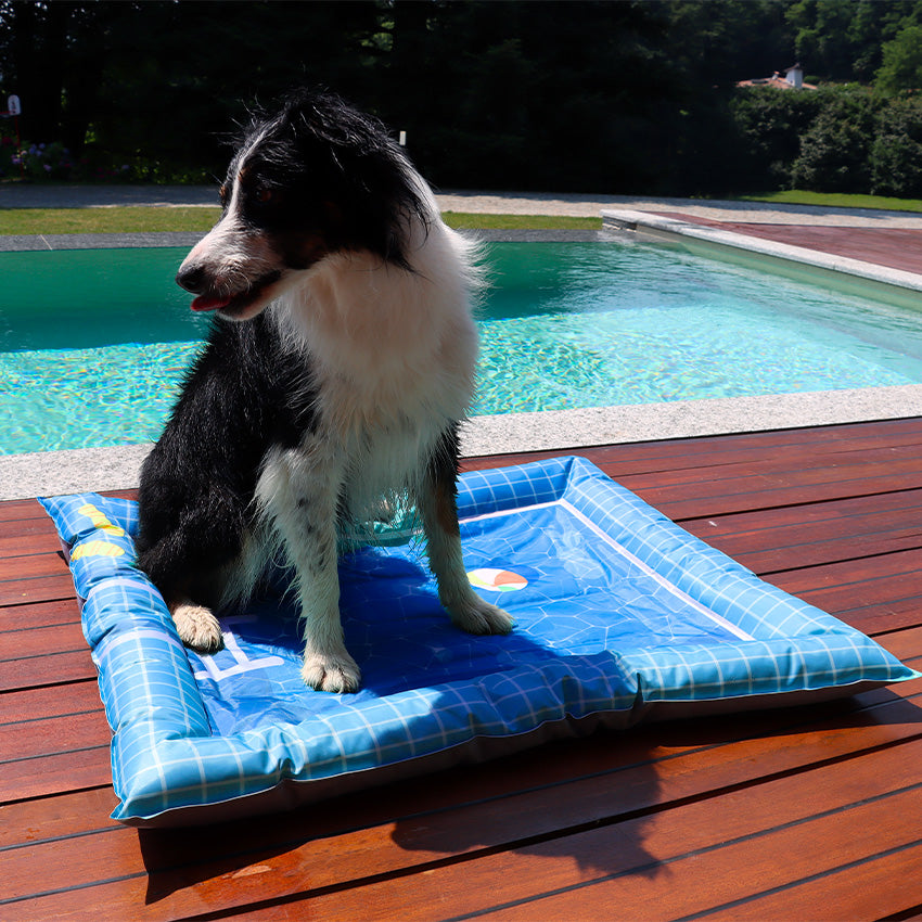 croci-tapis-rafra-chissant-chien-effet-eau-76x91-cm image 2