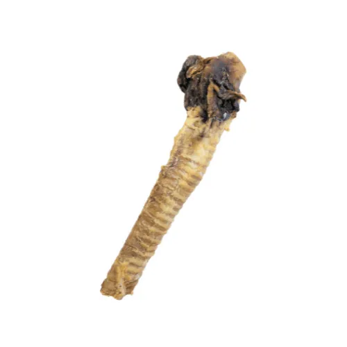 croci-niki-natural-barf-trach-e-de-buffle-friandise-chien-buffle-hypoallerg-niqu image 1