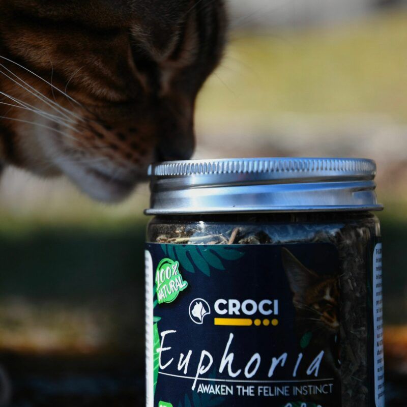 croci-euphoria-herbe-chat-bo-te-cataire-naturelle image 3