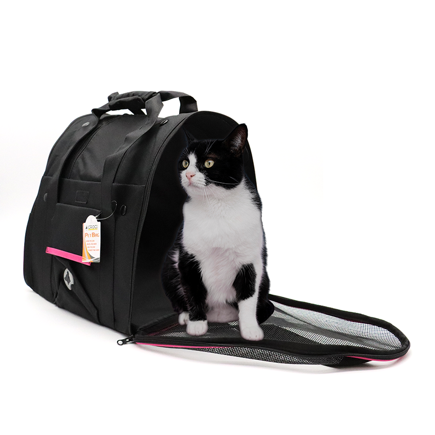 croci-scarlett-sac-dos-transport-chien-chat-bleu-38x26x31 image 3