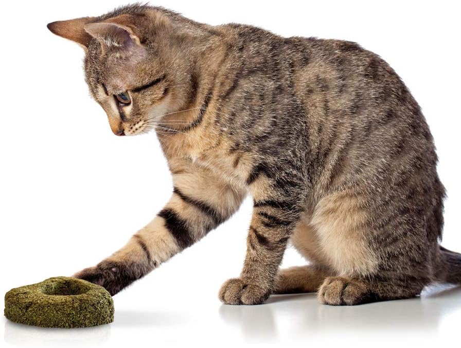 croci-euphoria-c-ur-herbe-chat-jouet-chat-7-cm image 3