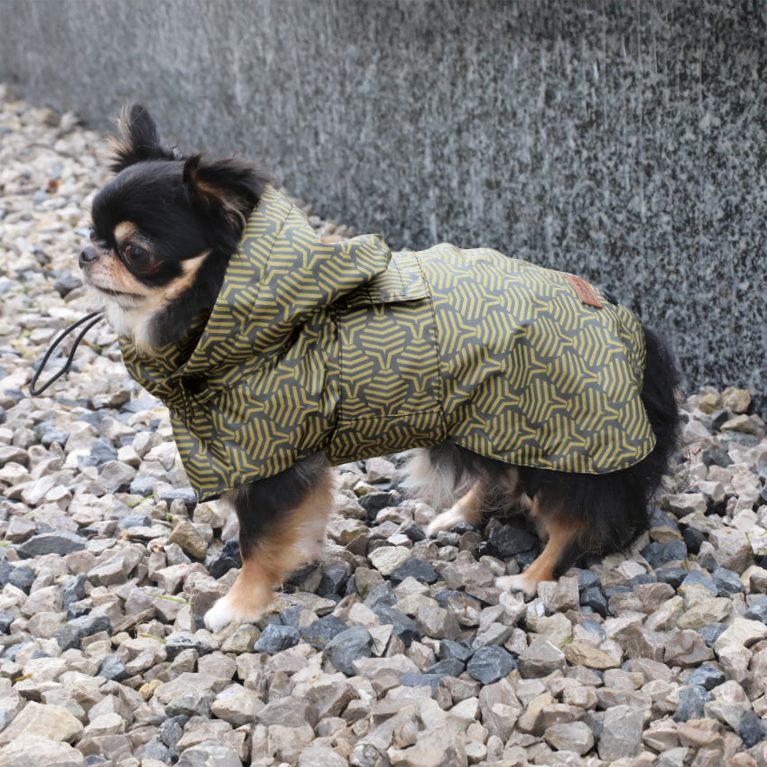 croci-luxury-imperm-able-chien-velours-40-cm image 2