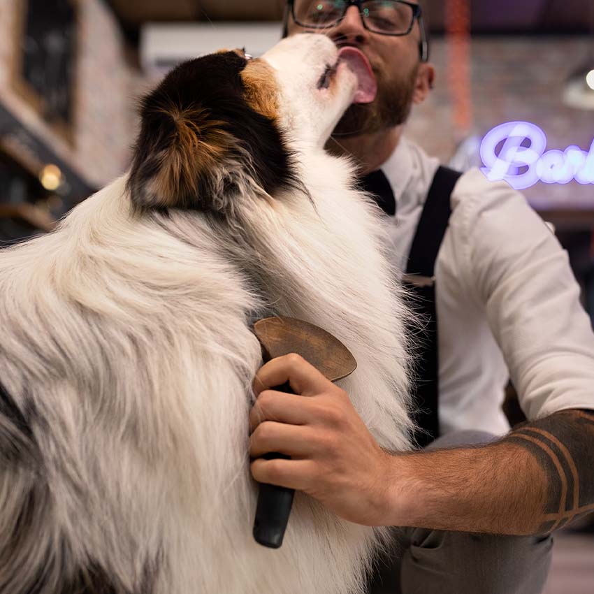 croci-barbershop-peigne-r-teau-chien-sous-poil-pais image 4
