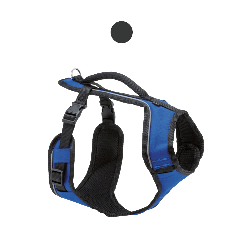 croci-easy-sport-harnais-chien-nylon-rembourr-bleu-m image 3