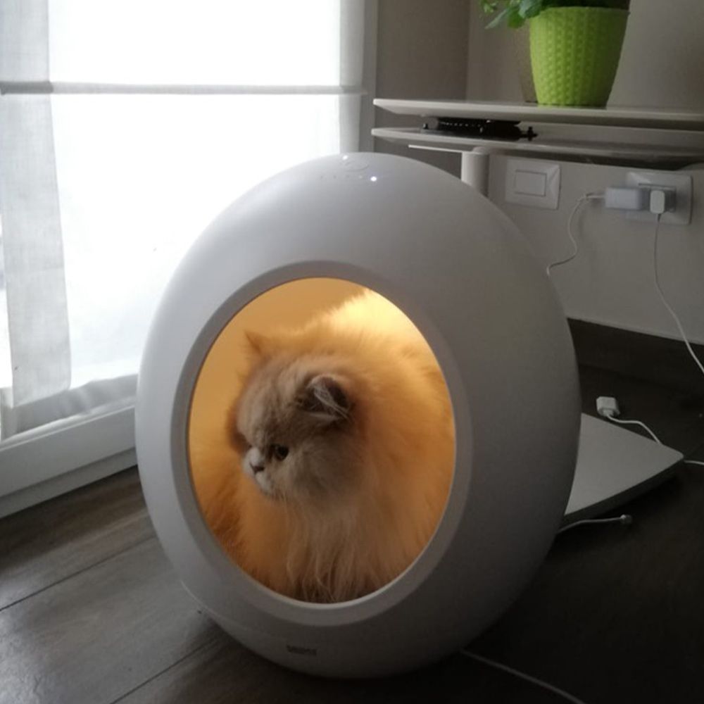 croci-domus-niche-technologique-chat-et-petit-chien image 5