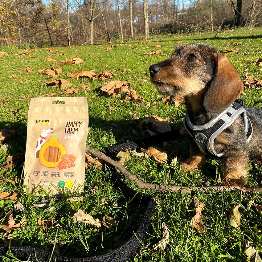 croci-happy-farm-friandise-chien-saumon-potiron-80-g image 3