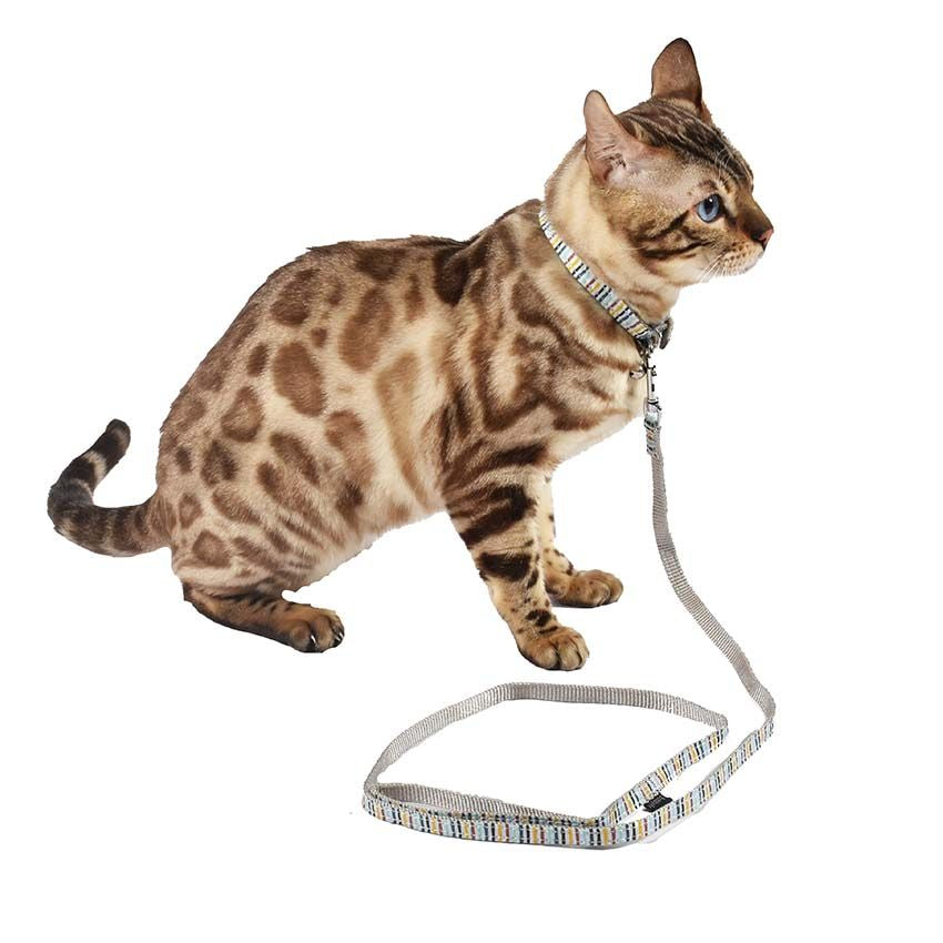 croci-bobby-nala-collier-chat-nylon-orange-26-cm image 3
