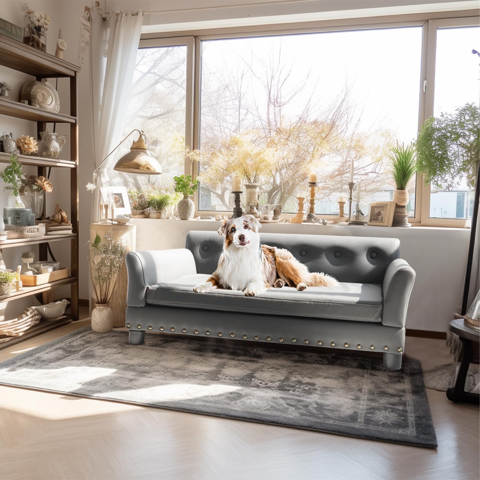 bingopaw-pet-sofa-canap-chien-xxl-120x74x40cm-gris-fonc image 2