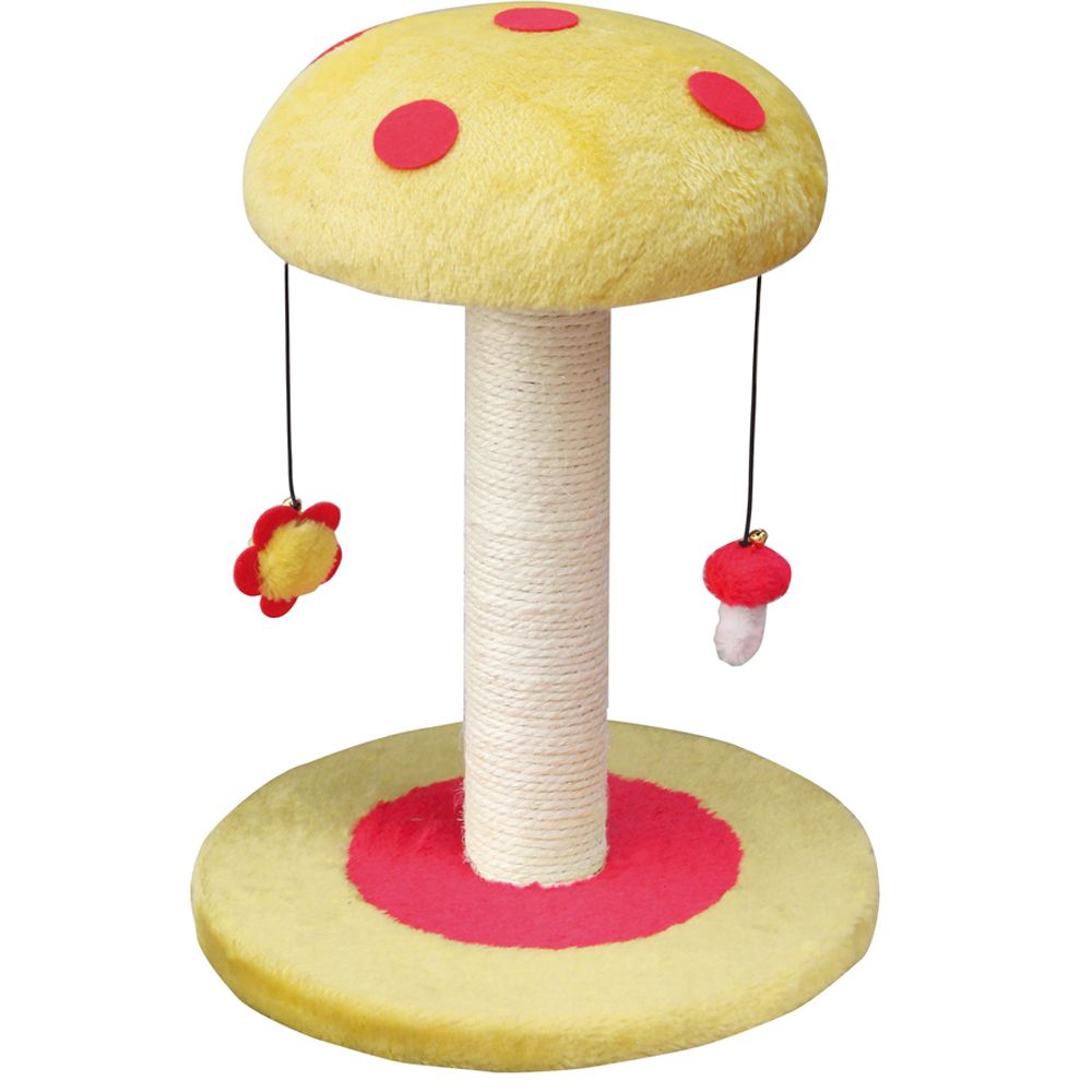 croci-mushroom-griffoir-chat-champignon-couleur-assortie image 4