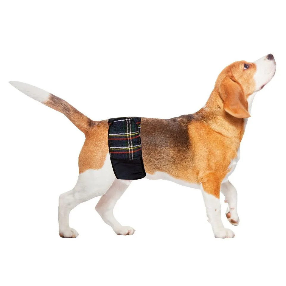 croci-bandeau-m-le-chien-coton-anti-marquage-34-40-cm image 1