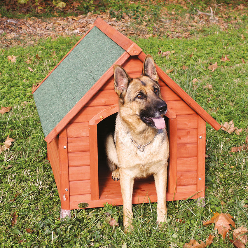 croci-chalet-niche-chien-bois-72x76x76-cm-ext-rieur image 3