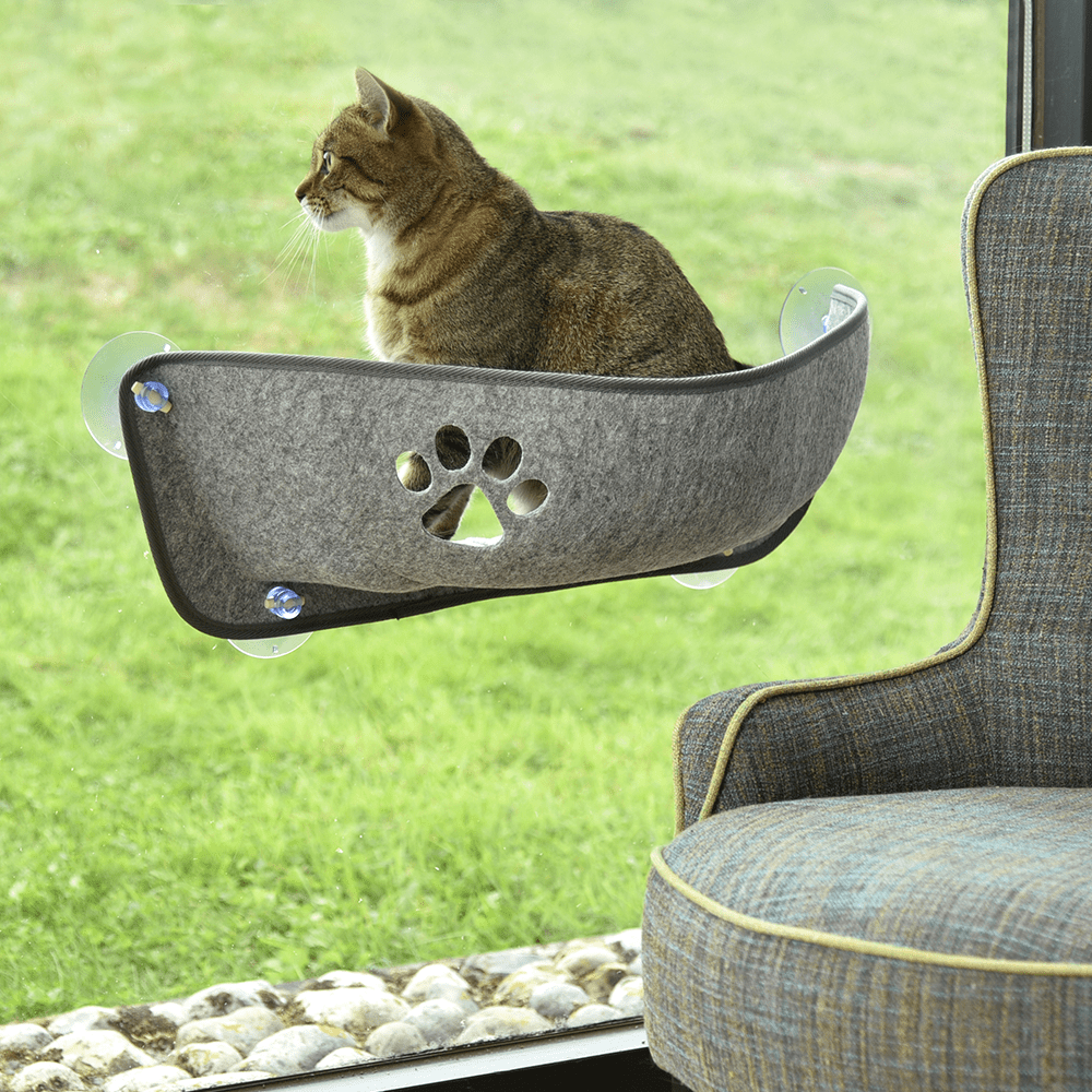 croci-bobby-hamac-chat-ventouses-vitre-coussin-9-kg image 2