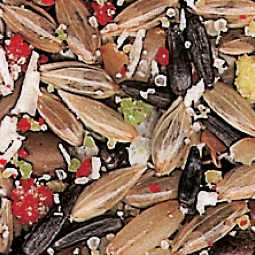 croci-gran-pasto-nourriture-canari-graines-fruits-500-g image 2