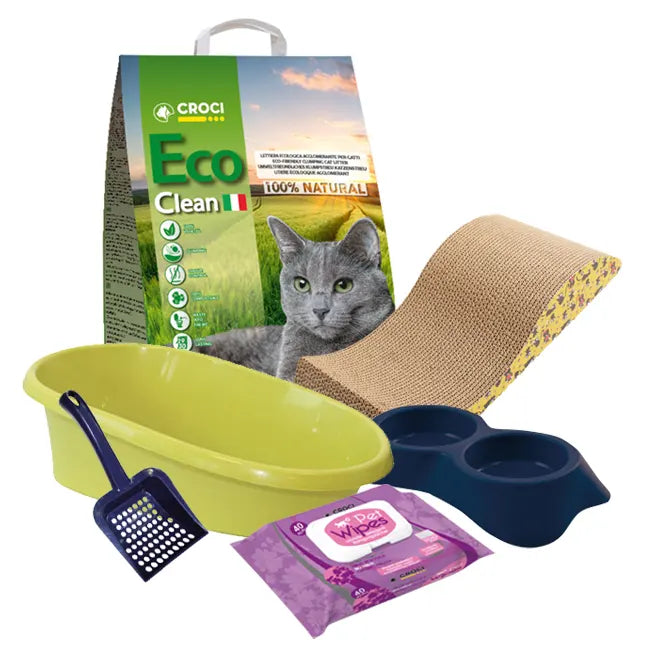 croci-kit-chaton-bac-liti-re-liti-re-v-g-tale-10-l image 1
