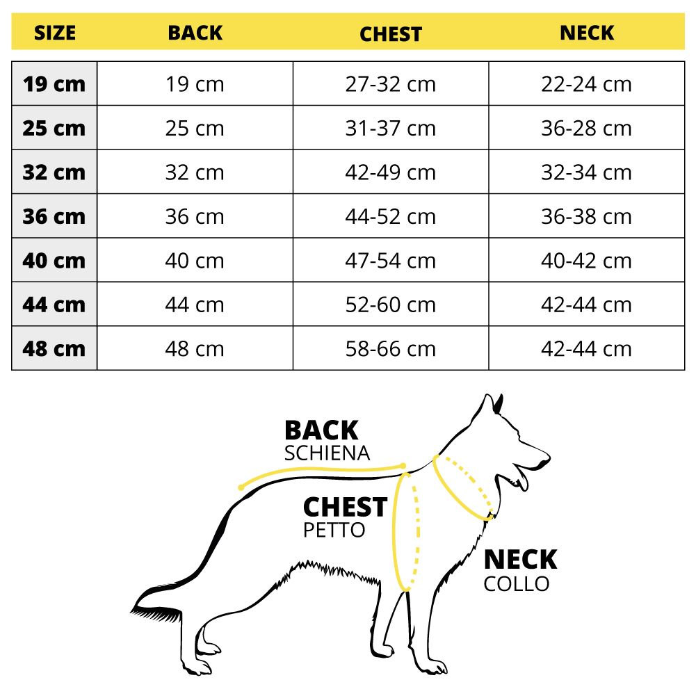 croci-bobby-titi-veste-chien-bleu-32-cm-imperm-able image 5