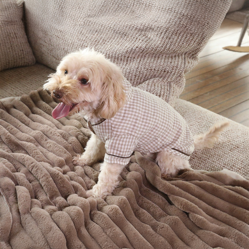 croci-chemise-chien-carreaux-beige-taille-30-velcro image 2