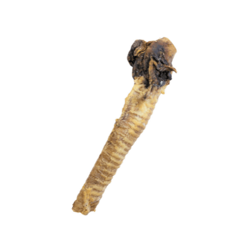 croci-niki-natural-barf-trach-e-de-buffle-friandise-chien-buffle-hypoallerg-niqu image 1