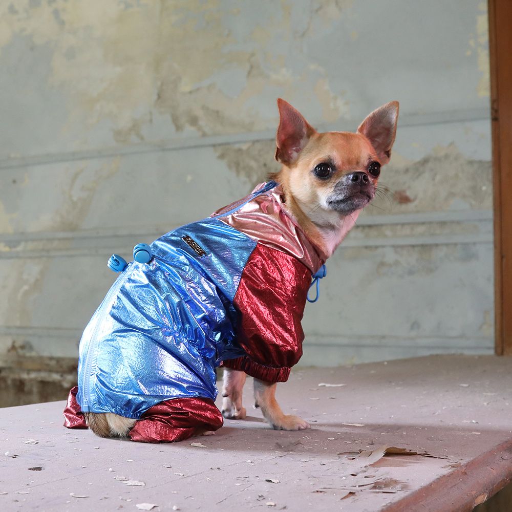 croci-hype-combinaison-imperm-able-chien-30-cm image 4