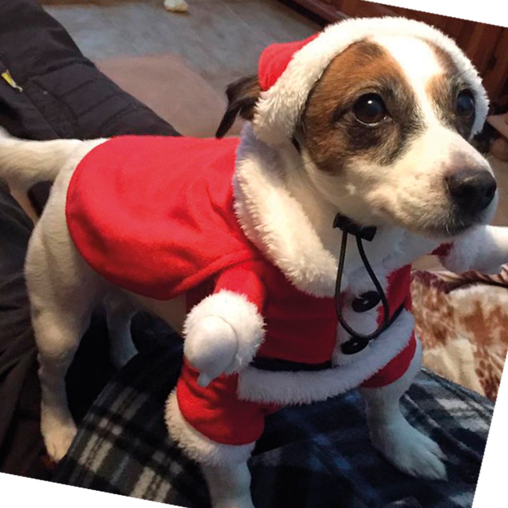 croci-xmas-santa-dress-d-guisement-chien-p-re-no-l-25cm-velours image 3