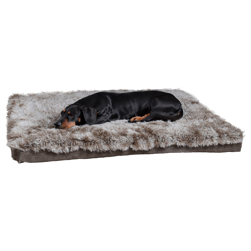 croci-bobby-poilu-coussin-chien-beige-100x65-cm-mousse image 1