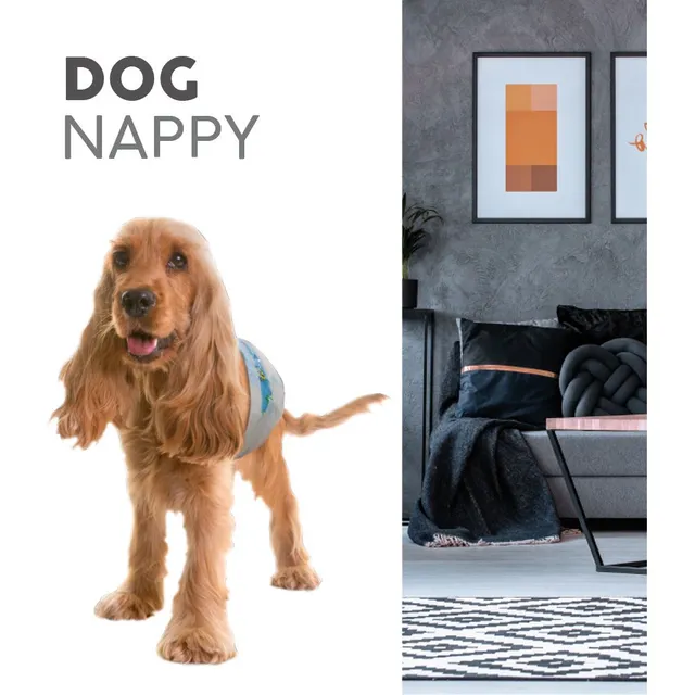 croci-care-and-hygiene-dog-nappy-couche-chien-jetable-l-34-48-cm-lot-12 image 1