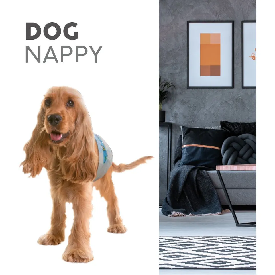 croci-care-and-hygiene-dog-nappy-couche-chien-jetable-l-34-48-cm-lot-12 image 1