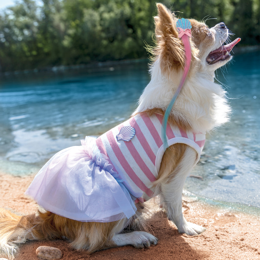 croci-mermaid-robe-pour-chien-tulle-arc-en-ciel-30-cm image 3