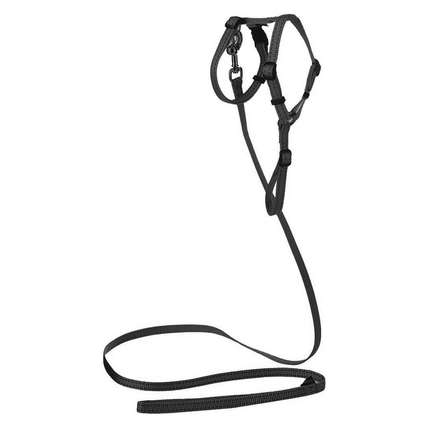 croci-bobby-safe-kit-chat-harnais-collier-laisse-nylon image 5