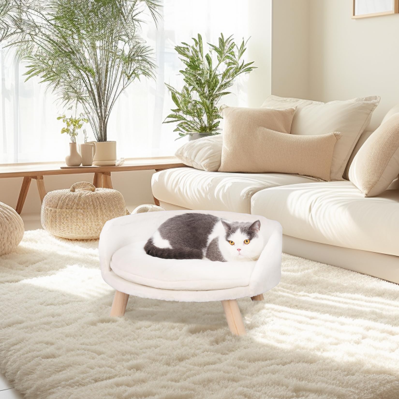 bingopaw-pet-sofa-canap-chat-blanc-sur-pieds-d-houssable image 3