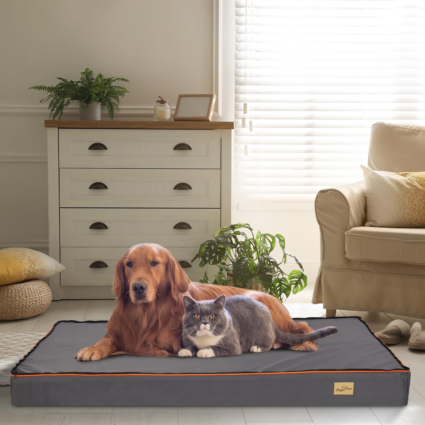 bingopaw-dog-bed-panier-chien-135x100x12cm-orthop-dique image 2