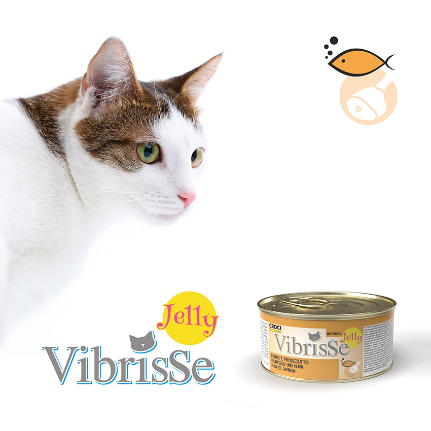 croci-vibrisse-jelly-p-t-e-chat-gel-e-thon-70-g image 6