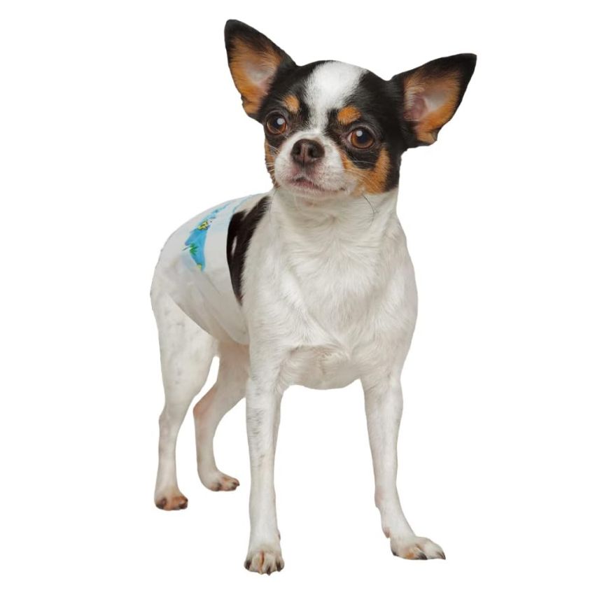 croci-care-and-hygiene-dog-nappy-couche-chien-jetable-l-34-48-cm-lot-12 image 2